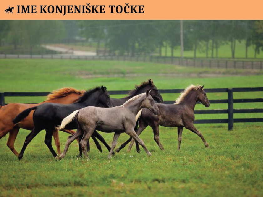 Ime konjeniške točke