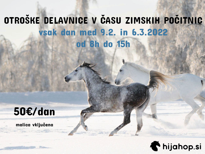 OglasZimskePocitnice OglasZimskePocitnice