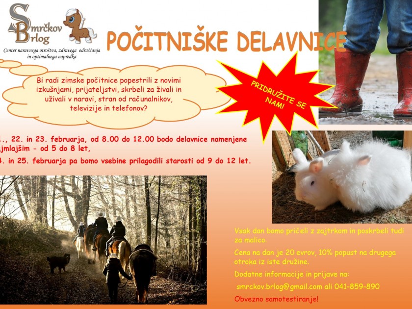 PocitniskeDelavnice_feb22